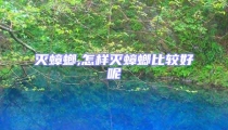 滅蟑螂,怎樣滅蟑螂比較好呢