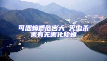 可惡蟑螂危害大 滅蟲殺害有無害化除蟑