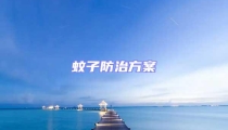 蚊子防治方案
