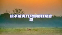 該不該為幾只蟑螂打場官司