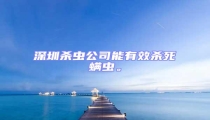 深圳殺蟲公司能有效殺死螨蟲。