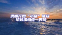 供暖開始“小強”活躍 明起深圳統一滅蟑