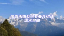深圳殺蟲(chóng)公司專業(yè)介紹快速滅臭蟲(chóng)