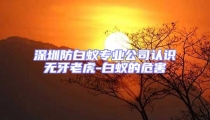 深圳防白蟻專業公司認識無牙老虎-白蟻的危害