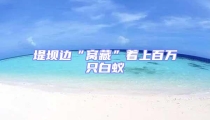 堤壩邊“窩藏”著上百萬只白蟻