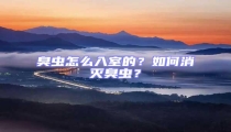 臭蟲怎么入室的?如何消滅臭蟲?