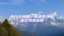 為什么蟑螂一直殺不凈除蟲公司告訴你