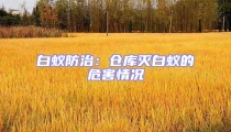 白蟻防治:倉庫滅白蟻的危害情況