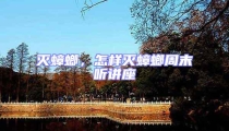 滅蟑螂,怎樣滅蟑螂周末聽講座