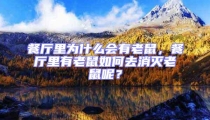 餐廳里為什么會有老鼠,餐廳里有老鼠如何去消滅老鼠呢?