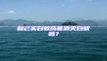 自己買白蟻藥能消滅白蟻嗎？