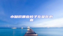 小知識哪些蚊子在吸你的血