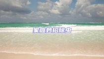 家庭妙招除蟲