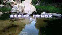 家中來白蟻,切勿自行滅殺