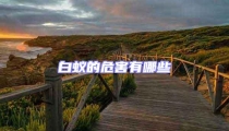 白蟻的危害有哪些