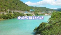 家庭滅鼠好方法
