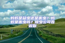 螞蟻是益蟲(chóng)還是害蟲(chóng)？螞蟻是害蟲(chóng)嗎？除蟲(chóng)公司告訴你