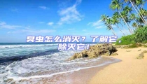 臭蟲怎么消滅?了解它,除滅它!