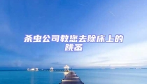 殺蟲公司教您去除床上的跳蚤