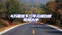 4萬藏地下三年元被白蟻吃掉大半