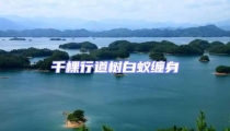 千棵行道樹白蟻纏身