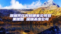 深圳滅紅火蟻哪家公司效果理想 深圳殺蟲(chóng)公司