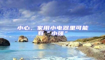 小心,家用小電器里可能有“小強”