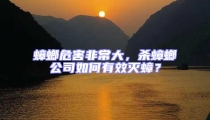 蟑螂危害非常大,殺蟑螂公司如何有效滅蟑?