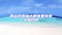 南山區(qū)南油大廈家里發(fā)現(xiàn)大量白蟻