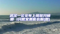 武漢一公交車上現(xiàn)多只蟑螂 1只爬女乘客衣服(圖)