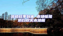 裝修旺季到來(lái) 市場(chǎng)驚現(xiàn)防白蟻實(shí)木地板