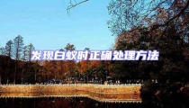 發現白蟻時正確處理方法