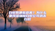 白蟻有哪些危害？為什么要找深圳除白蟻公司消殺白蟻