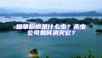 煙草粉螟是什么蟲?殺蟲公司如何消滅它?