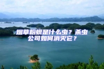 煙草粉螟是什么蟲？殺蟲公司如何消滅它？