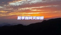 夏季如何滅蟑螂