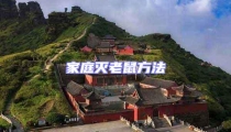 家庭滅老鼠方法