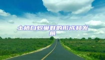 土棲白蟻巢群的形成和發展