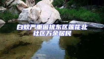白蟻嚴重困擾東區(qū)蓮花北社區(qū)萬余居民