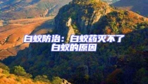 白蟻防治:白蟻藥滅不了白蟻的原因