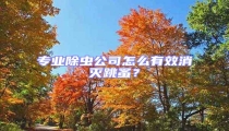 專業(yè)除蟲(chóng)公司怎么有效消滅跳蚤?