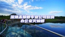 深圳殺蟑螂專業公司廚房辦公室滅蟑螂