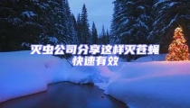 滅蟲公司分享這樣滅蒼蠅快速有效