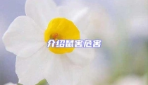 介紹鼠害危害