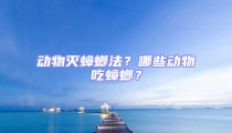 動物滅蟑螂法?哪些動物吃蟑螂?