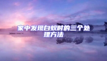 家中發現白蟻時的三個處理方法