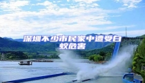 深圳不少市民家中遭受白蟻危害