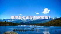 堤壩怎么正行白蟻防治?