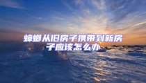 蟑螂從舊房子攜帶到新房子應該怎么辦