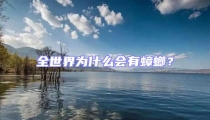 全世界為什么會有蟑螂?